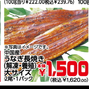 うなぎの蒲焼き