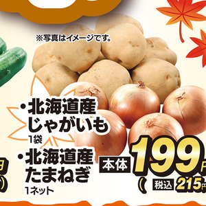 たまねぎ