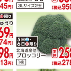 ブロッコリー