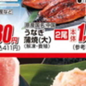 うなぎの蒲焼き