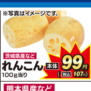 レンコン