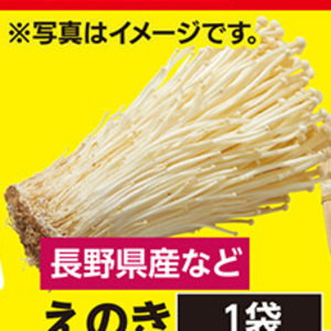 えのき茸