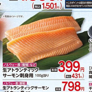 サーモン（刺身）