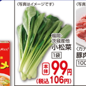 こまつ菜