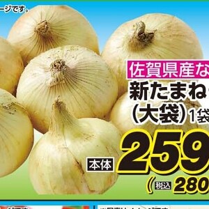 新たまねぎ