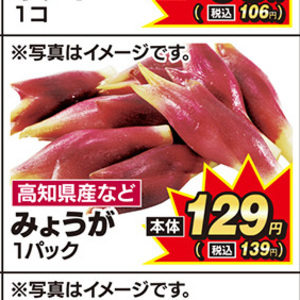 みょうが