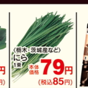 ながねぎ