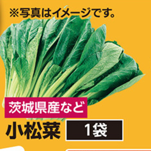 こまつ菜