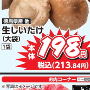 しいたけ