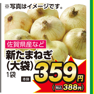 新たまねぎ