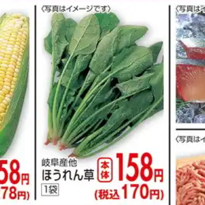 ほうれん草