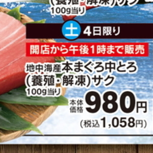 まぐろ中とろ