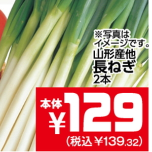ながねぎ
