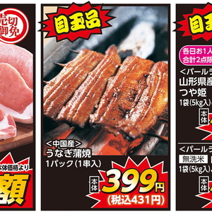 うなぎの蒲焼き