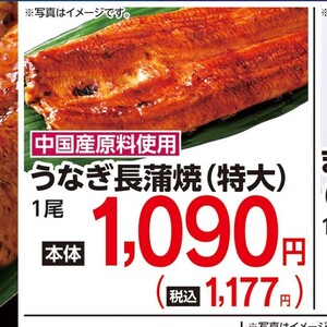 うなぎの蒲焼き
