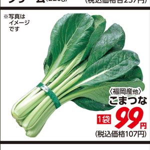 こまつ菜
