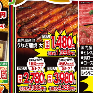 うなぎの蒲焼き