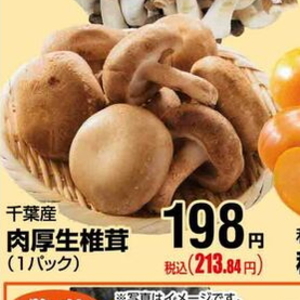 しいたけ
