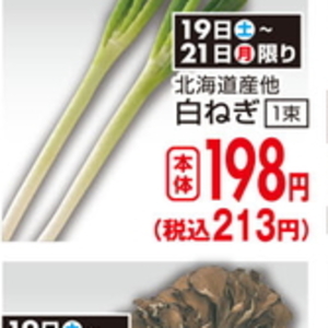 ながねぎ