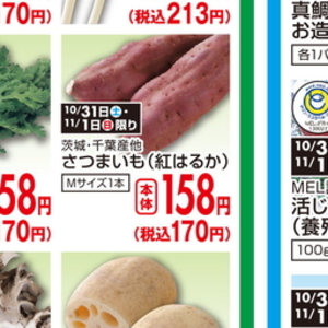 ほうれん草