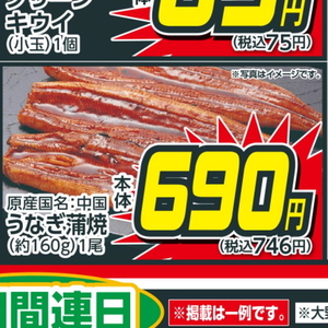 うなぎの蒲焼き