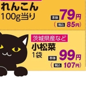 こまつ菜