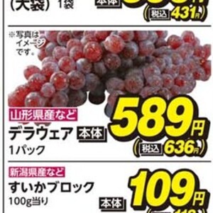 しいたけ