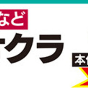 オクラ