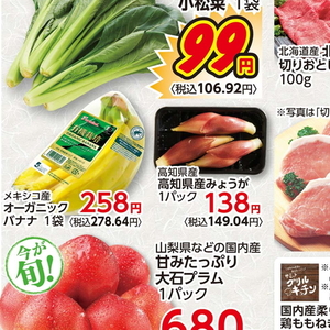 みょうが