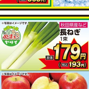 ながねぎ