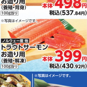 サーモン（さく取り）