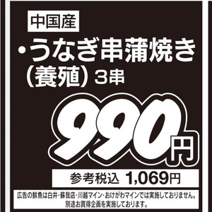 うなぎの蒲焼き