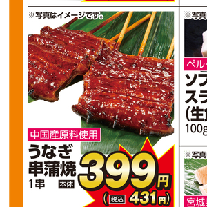 うなぎの蒲焼き