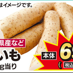 ながいも
