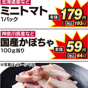 かぼちゃ