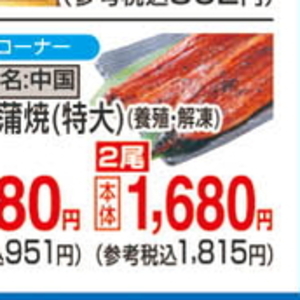 うなぎの蒲焼き