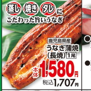 うなぎの蒲焼き