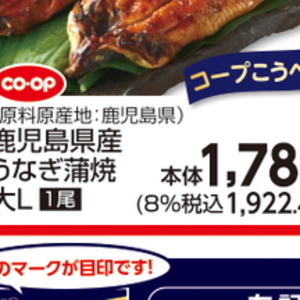 うなぎの蒲焼き