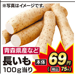 ながいも