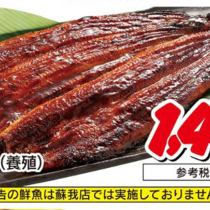 うなぎの蒲焼き