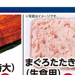 牛肉ハラミ