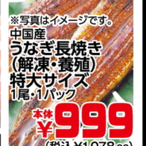 うなぎの蒲焼き
