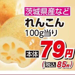 レンコン