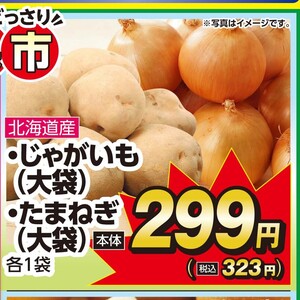 たまねぎ