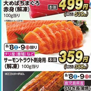 サーモン（刺身）