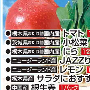 こまつ菜