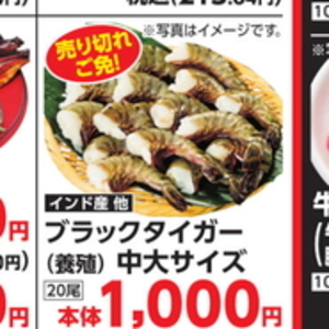 うなぎの蒲焼き