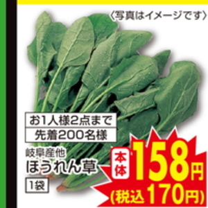 ほうれん草