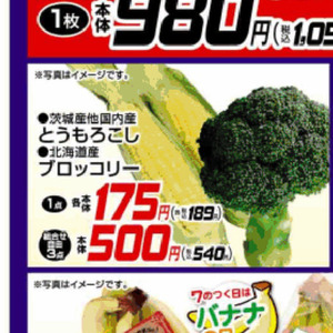 とうもろこし