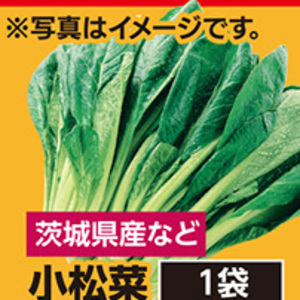 こまつ菜